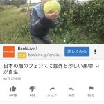 レス46番の画像サムネイル