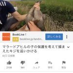 レス46番の画像サムネイル