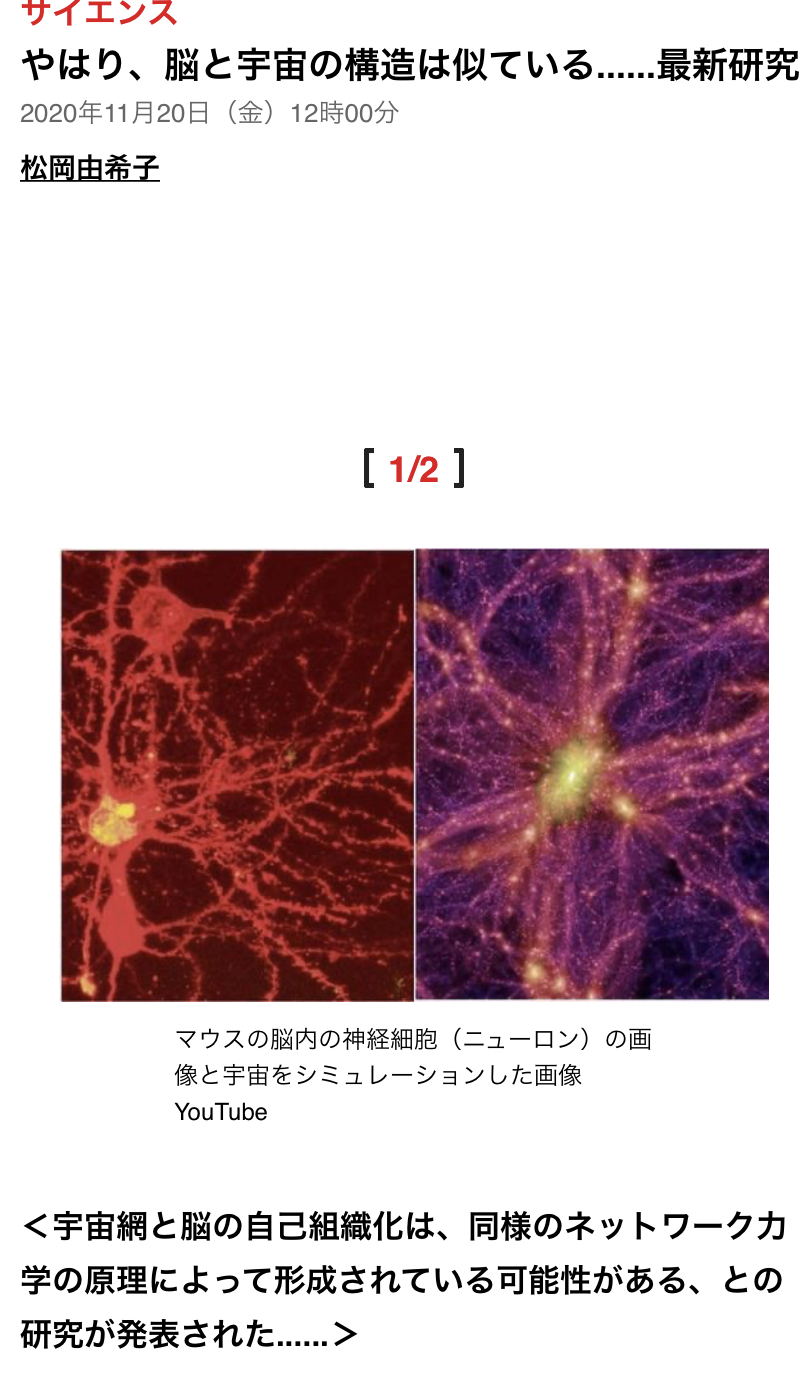 人生ループ説ってあり得そうよな ひみつのどうくつ