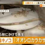 レス1番のサムネイル画像