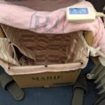 レス3番のサムネイル画像