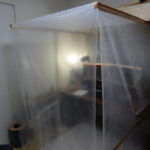 レス3番のサムネイル画像