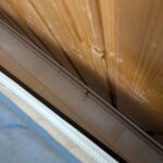 レス7番のサムネイル画像