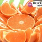 レス2番のサムネイル画像