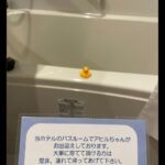 レス2番のサムネイル画像