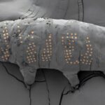 レス2番のサムネイル画像