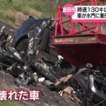 レス7番のサムネイル画像