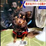 レス3番のサムネイル画像