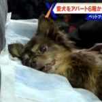 レス3番のサムネイル画像