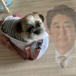 レス1番のサムネイル画像