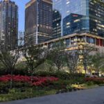 レス1番の画像5