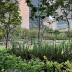 レス1番の画像12