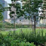 レス1番の画像7