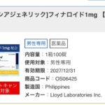 レス27番の画像1