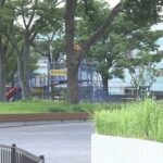 レス1番のリンク先のサムネイル画像