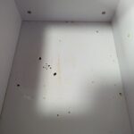 レス27番の画像1