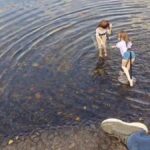 レス9番の画像1