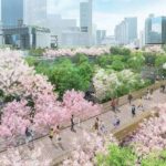 レス29番の画像1