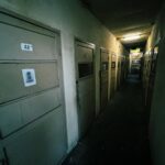 レス12番の画像2