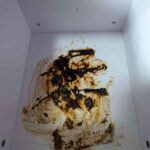 レス13番の画像1