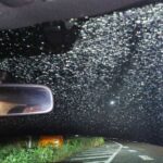 レス37番の画像1