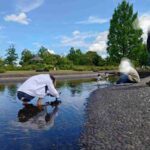 レス6番の画像1