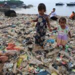 レス29番の画像2