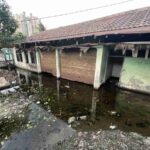 レス9番の画像4