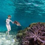 レス48番の画像4