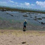 レス3番の画像1