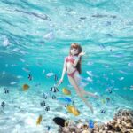 レス48番の画像1