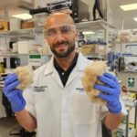 レス6番の画像1