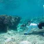 レス48番の画像3