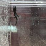 レス19番の画像1