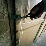 レス12番の画像3