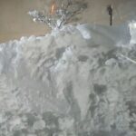 レス15番の画像1