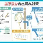 レス10番の画像1