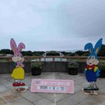 レス1番の画像5