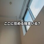 レス1番の画像5