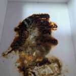 レス10番の画像1