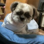 レス1番の画像2