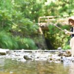 レス20番の画像1