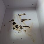 レス16番の画像1