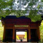 レス1番のリンク先のサムネイル画像