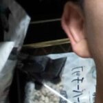 レス8番の画像1