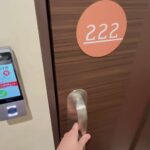 レス1番の画像2