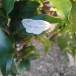 レス35番の画像1