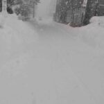 レス15番の画像3