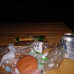 レス29番の画像1