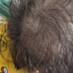 レス13番の画像1